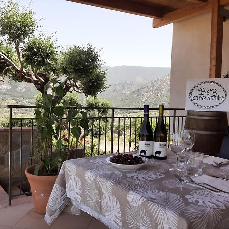B&B Casa Martina Giungano Kültér fotó