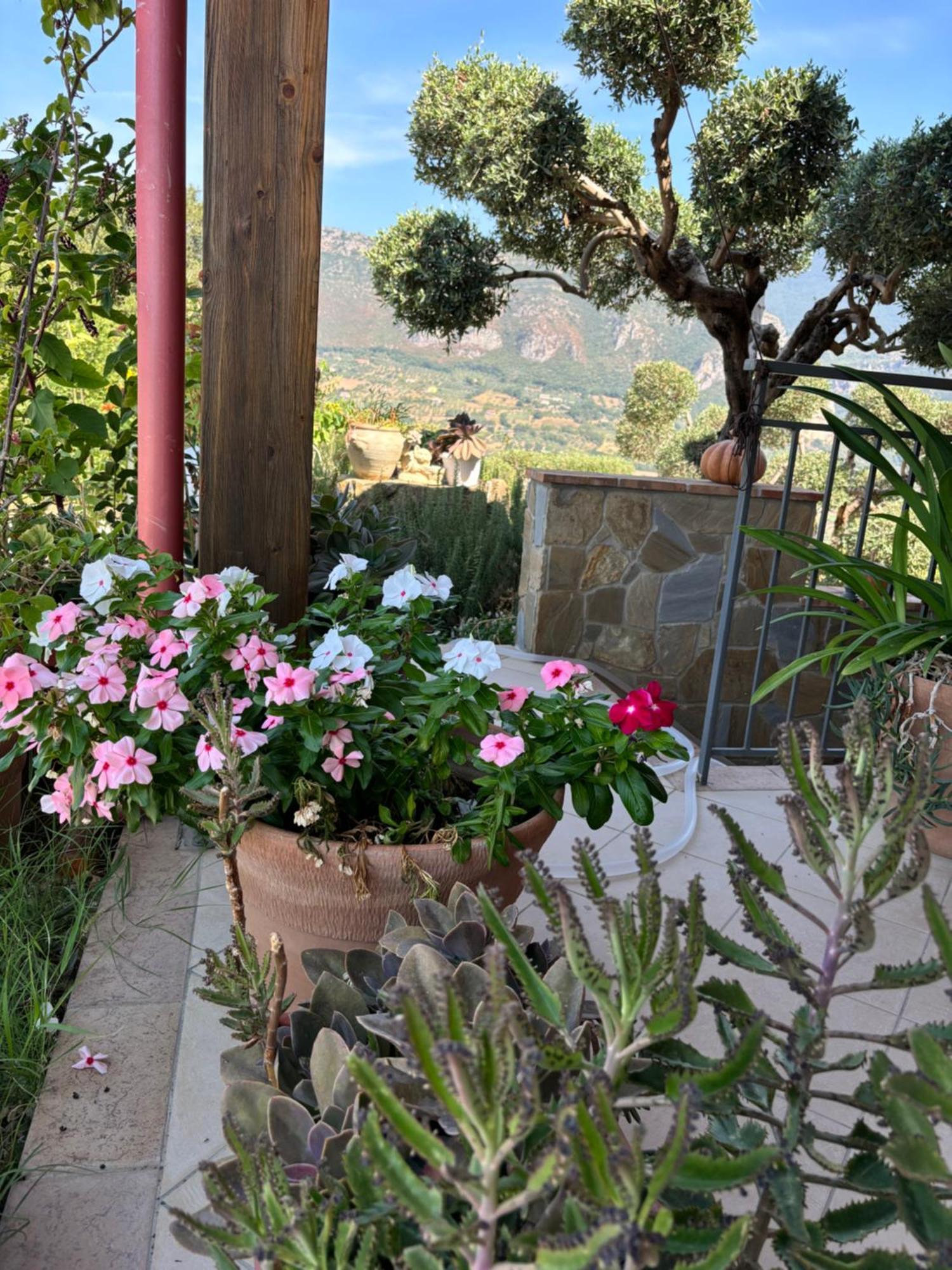 B&B Casa Martina Giungano Kültér fotó
