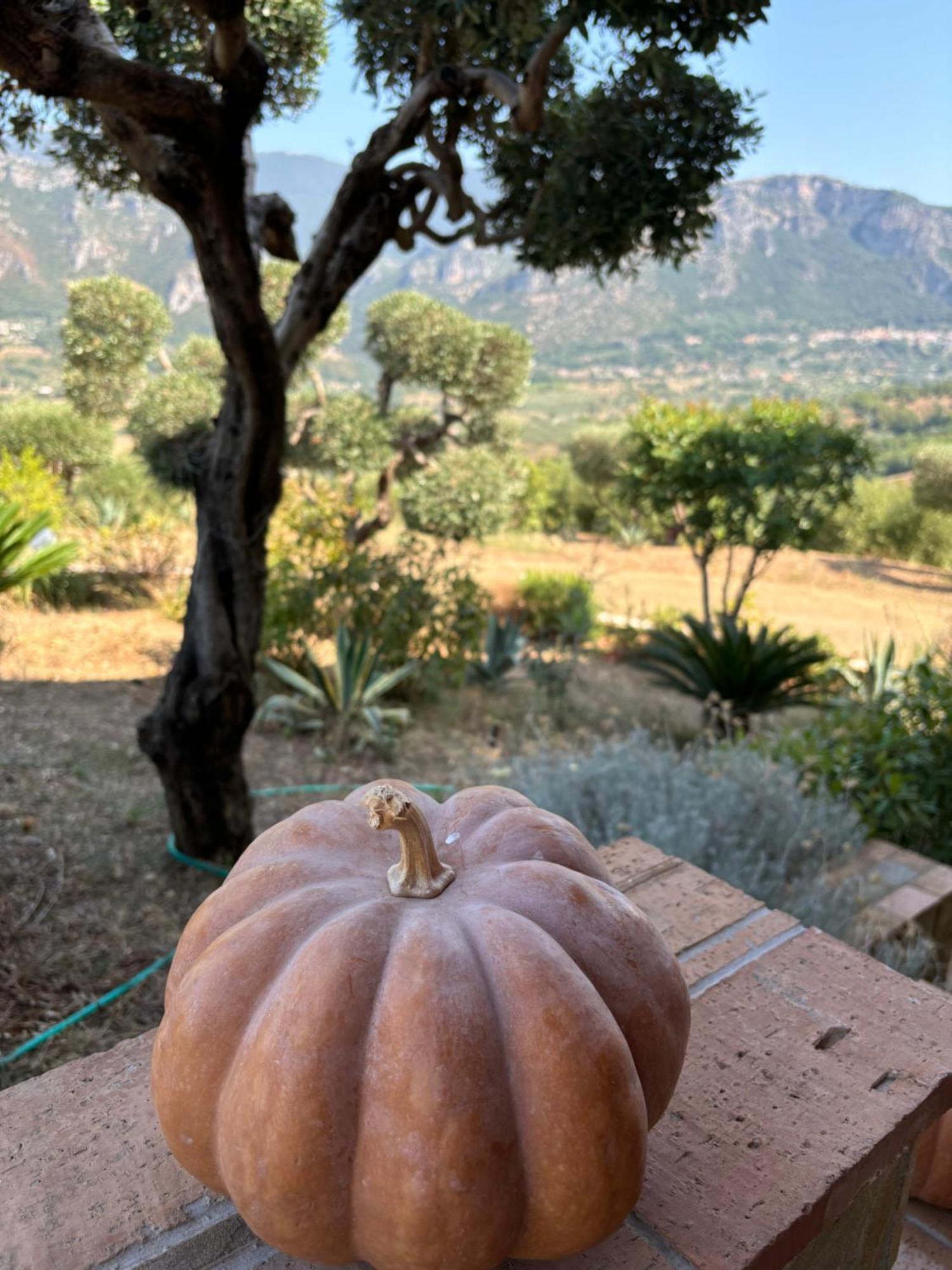 B&B Casa Martina Giungano Kültér fotó