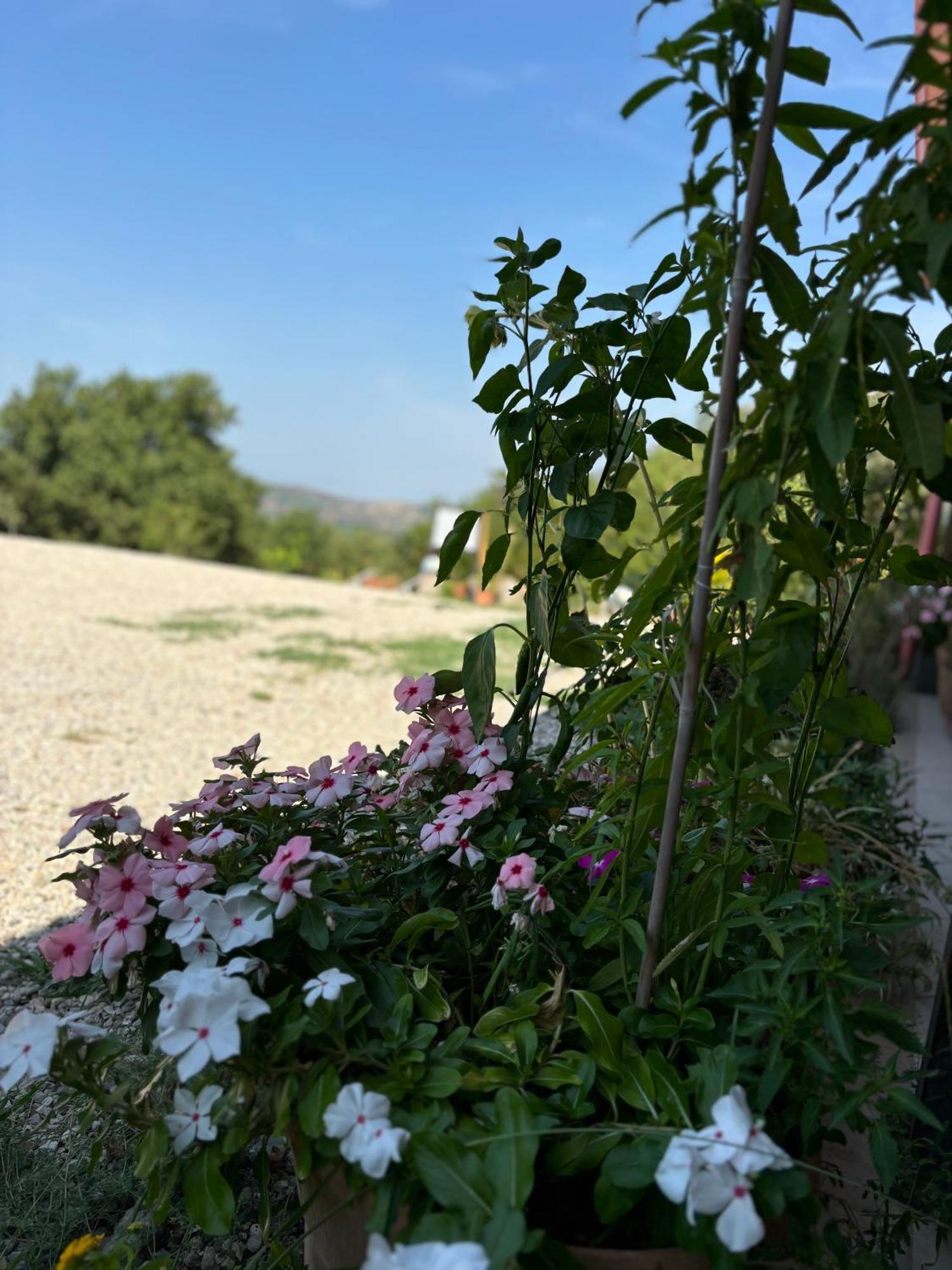 B&B Casa Martina Giungano Kültér fotó